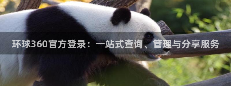 狗子28体育2官网入口：环球360官方登录：一站式查询、管理与分享服务