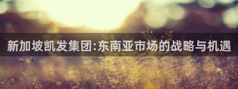 狗子28体育3在线注册：新加坡凯发集团:东南亚市场的战略与机遇