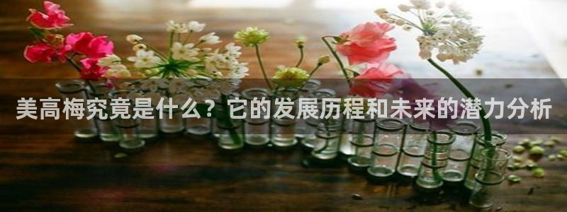 狗子28代理：美高梅究竟是什么？它的发展历程和未来的潜力分析