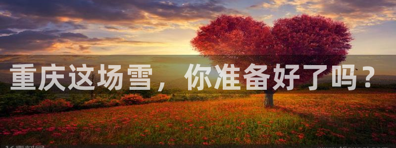 狗子28f平台注册：重庆这场雪，你准备好了吗？