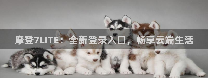 狗子28kgame：摩登7LITE：全新登录入口，畅享云端生活