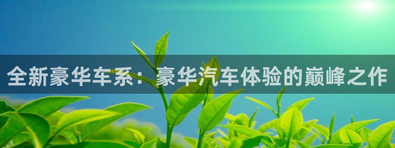 狗子28登录：全新豪华车系：豪华汽车体验的巅峰之作