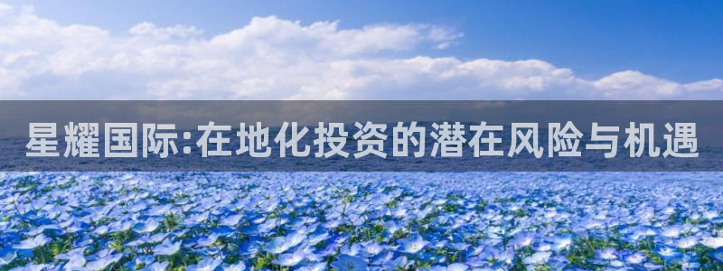 狗子285招商：星耀国际:在地化投资的潜在风险与机遇