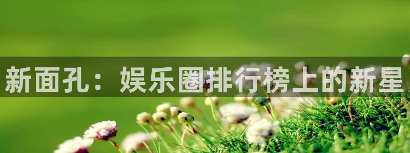 狗子28凯捷注册：新面孔：娱乐圈排行榜上的新星