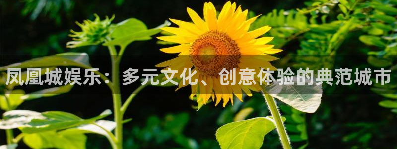 狗子28体育论坛：凤凰城娱乐：多元文化、创意体验的典范城市