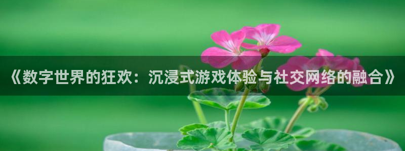 狗子282体育登录入口：《数字世界的狂欢：沉浸式游戏体验与社交网络的融合》