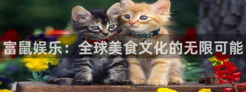 狗子28平台注册入口：富鼠娱乐：全球美食文化的无限可能