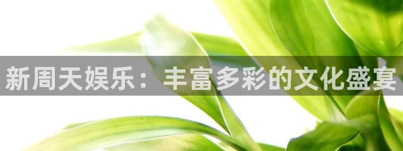 狗子28主管：新周天娱乐：丰富多彩的文化盛宴