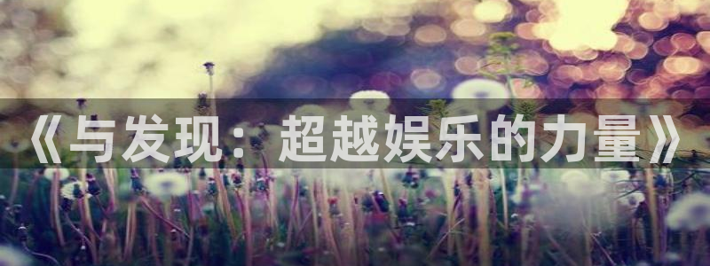 狗子28体育合法嘛：《与发现：超越娱乐的力量》