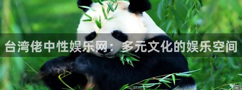 狗子28股份：台湾佬中性娱乐网：多元文化的娱乐空间