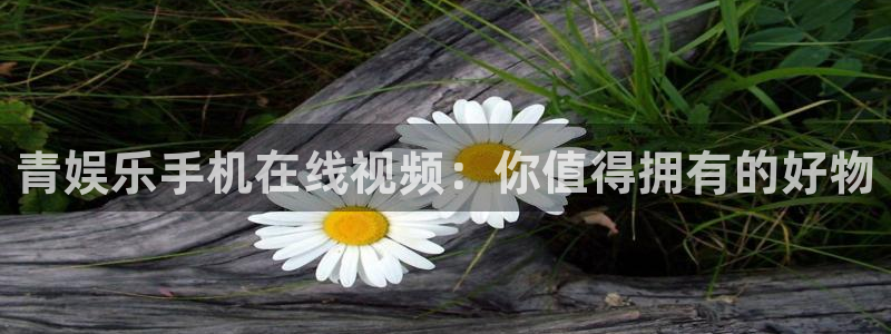 狗子28官网入口：青娱乐手机在线视频：你值得拥有的好物