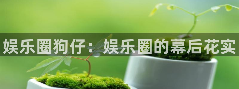 狗子283：娱乐圈狗仔：娱乐圈的幕后花实