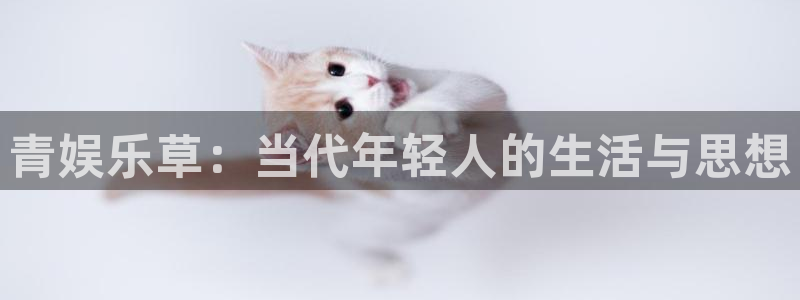 狗子282登录：青娱乐草：当代年轻人的生活与思想