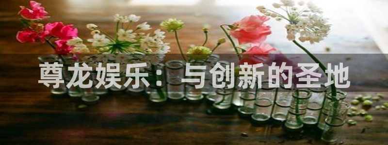 狗子28凯捷开号链接：尊龙娱乐：与创新的圣地