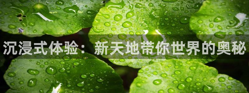 狗子28体育凯捷平台招商：沉浸式体验：新天地带你世界的奥秘