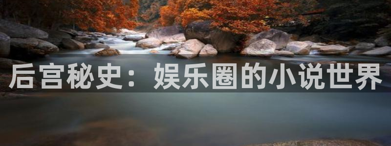 狗子28主管：后宫秘史：娱乐圈的小说世界