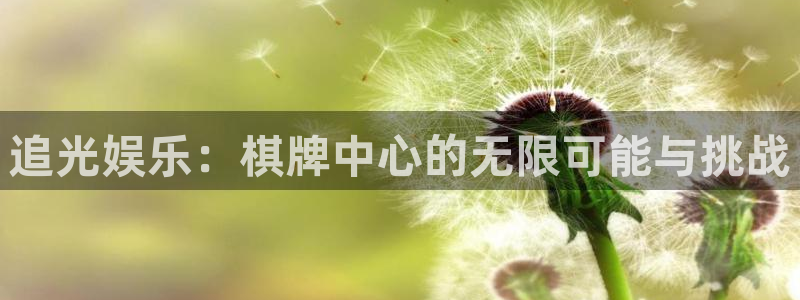狗子282平台注册：追光娱乐：棋牌中心的无限可能与挑战