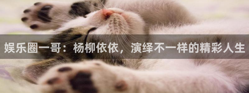 狗子28体育热门赛事有哪些：娱乐圈一哥：杨柳依依，演绎不一样的精彩人生