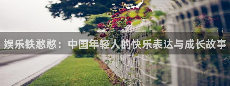 狗子28股份：娱乐铁憨憨：中国年轻人的快乐表达与成长故事