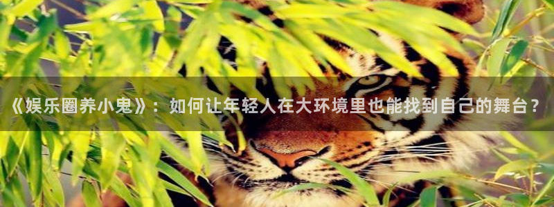 狗子282平台：《娱乐圈养小鬼》：如何让年轻人在大环境里也能找到自己的舞台？
