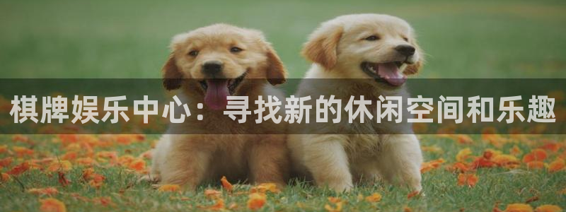 狗子28体育合法嘛：棋牌娱乐中心：寻找新的休闲空间和乐趣